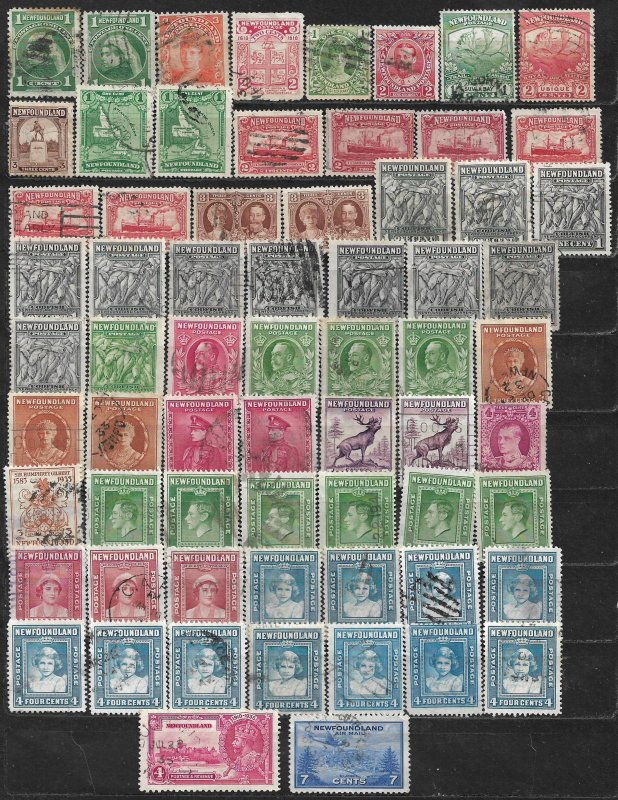 COLLECTION LOT OF 66 NEWFOUNDLAND 1897+ STAMPS CLEARANCE