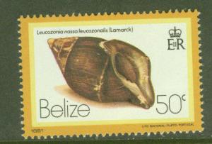 BELIZE  Scott 482 MNH** Shell stamp 1980 CV $3