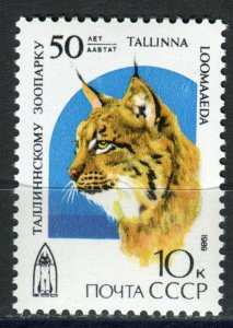 5977 - RUSSIA 1989 - Tallin Zoo - Lynx  - MNH Set