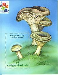 Antigua, Mushrooms, Fungi, Agriculture, S/S 1,  (Anti2434*