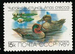 Bird Anas Crecca, 15 kop, 1989, MNH ** (T-7488)