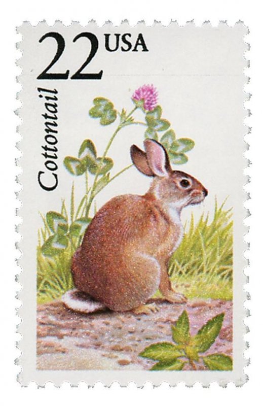 1987 22c Cottontail Rabbit, North American Wildlife Scott 2290 Mint F/VF NH