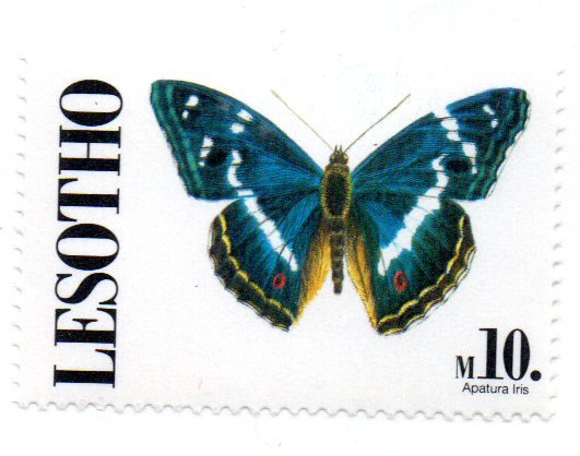 LESOTHO 842 MNH SCV $8.75 BIN $5.25 BUTTERFLY