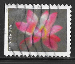 USA 5564: Pink Sacred Lotus, off paper, used, VF