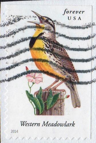 United States 4882 - Used - (49c) Western Meadowlark (on paper) (2014)