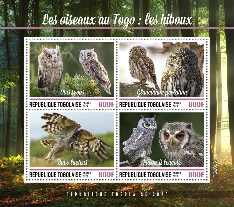 TOGO - 2020 - Birds of Togo, Owls - Perf 4v Sheet  - Mint Never Hinged