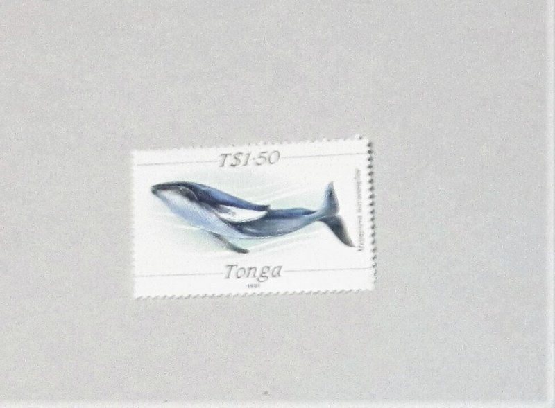 Tonga - 706, MNH. Fish. SCV - $7.25