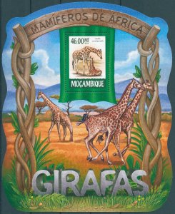 Mozambique 2015 MNH Wild Animals Stamps Giraffes Giraffe 1v S/S II