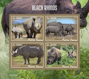 Sierra Leone 2019 MNH Wild Animals Stamps Black Rhinos Rhinoceros 4v M/S