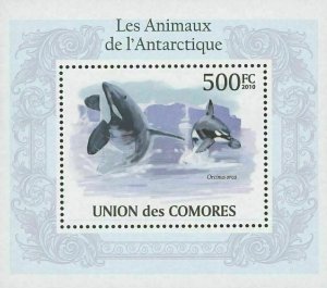 Antarctic Animals Orcinus Orca Mini Sov. Sheet MNH