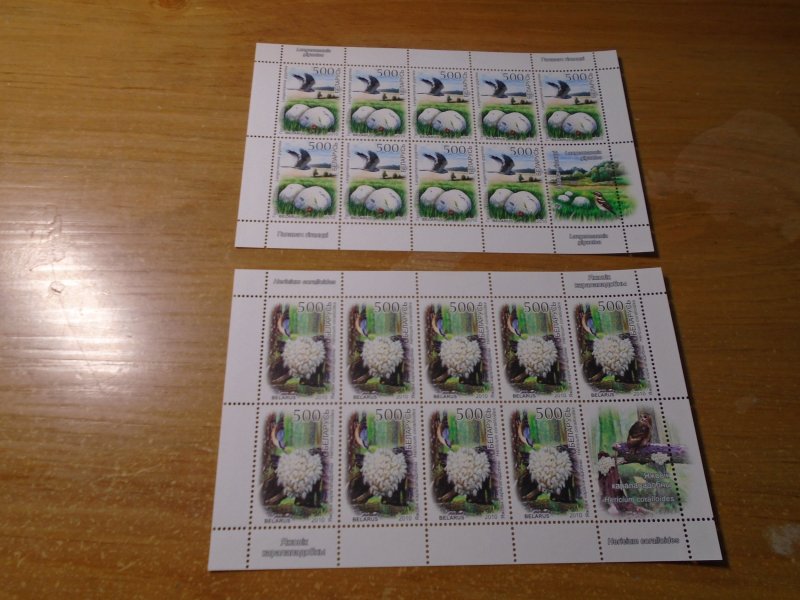 Belarus  #  741-45  MNH   Butterfly/ Birds  complete sheets