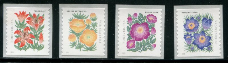 5676-5679 US (58c) Mountain Flora SA coil sgls, MNH w/back #