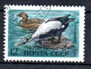 RUSSIA - 1972 - DUCKS - BIRDS - Used - 12k