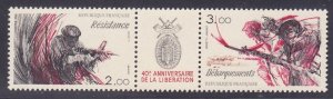 France 1930a MNH 1984 40th Anniversary of Liberation Pair with Label Very Fine