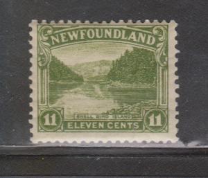 NEWFOUNDLAND Scott # 140 - Mint Never Hinged Shell Bird Island Issue