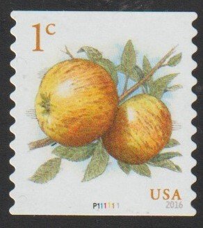 SC# 5037 - (1c) - Pippin Apple, coil, - PNC -  P111111, used off paper