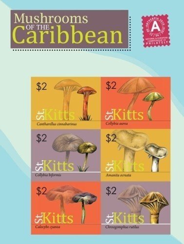 St. Kitts 2010 - Mushrooms - Sheet of 6 IMPERF Stamps - Scott #762 - MNH