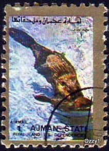 Ajman State 1973 Mi 2845A 1Rl Beaver CTO.