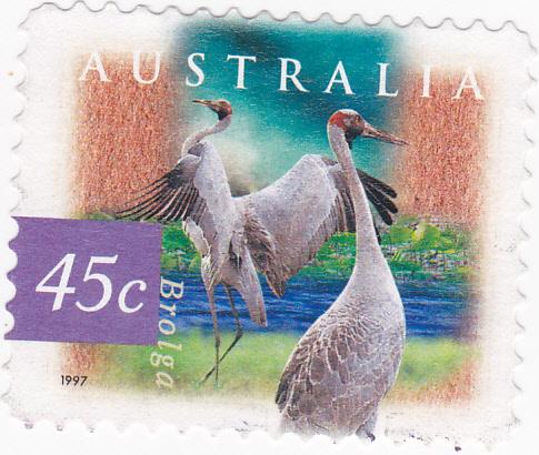 Australia -1997 Wetland Birds -Brolga - used 45c 