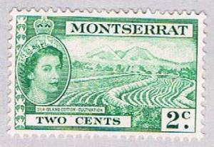 Montserrat 130 MLH Cotton field 1951 (BP33919)