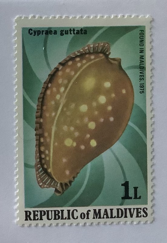 Maldives islands 1979 Scott 786 MNH - 1 L, marine life,  seashell