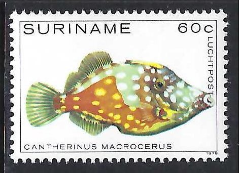 Suriname C89 MNH FISH Z9166