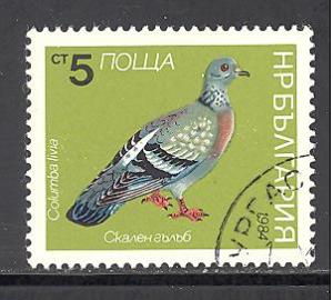 Bulgaria Sc # 2974 used (DT)