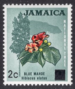JAMAICA SCOTT 305