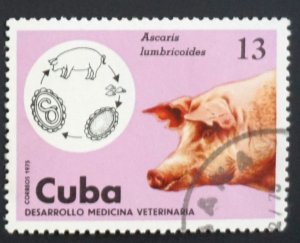 Cuba Sc# 2020 VETERINARY MEDICINE farm animals  13c pig hog  1975  used cto