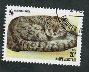 Kyrgyzstan #30 Leopard used single