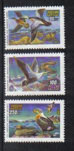 Russia 1993  MNH     ducks   complete set