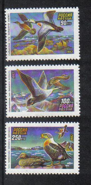 Russia 1993  MNH     ducks   complete set