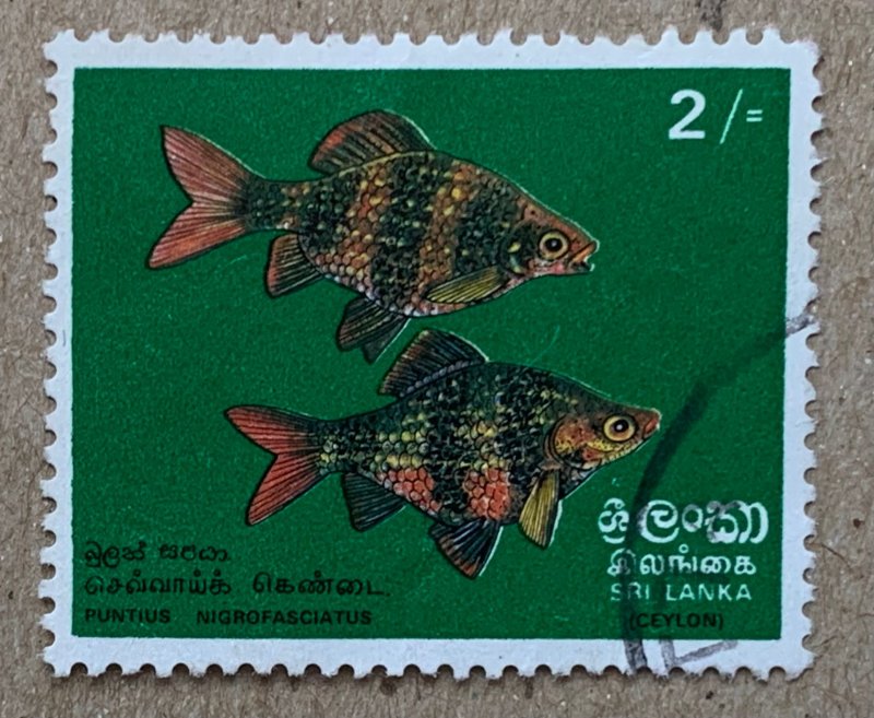 Sri Lanka 1972 2/ Tropical Fish, used. Scott 476, CV $4.50. SG 597