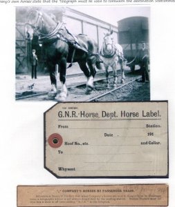 GB GNR RAILWAY *HORSE LABEL* Unused 1910s Parcel Tag {samwells-covers} RL80