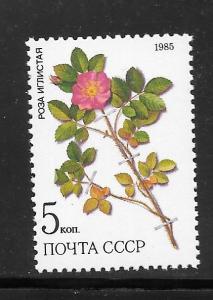 Russia #5381 MNH Single