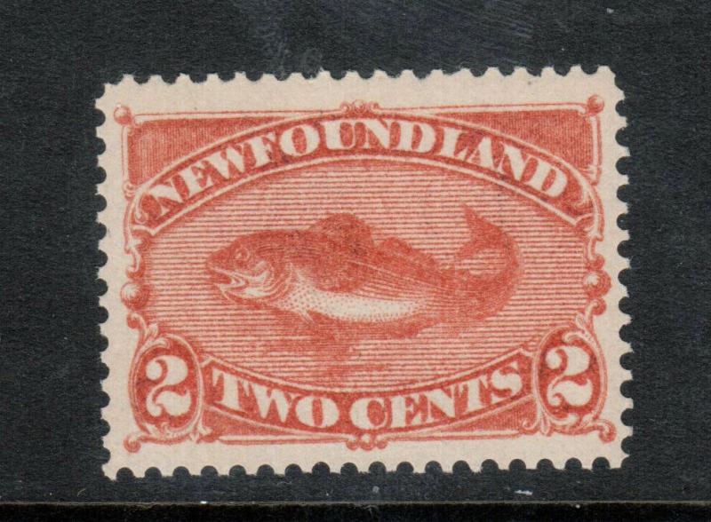 Newfoundland #48 Very Fine+ Never Hinged **With Certificate**