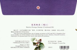 *FREE SHIP Taiwan Berries 2014 Fruit Food Berry Plant Flower Tree (FDC)