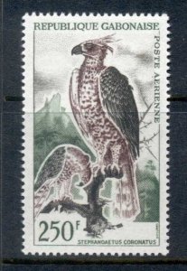 Gabon 1964 Bird, Hawk Eagle 250f MUH