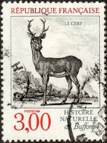 France 2124 - Used - 3fr Stag (Deer) (1988) (cv $0.85)