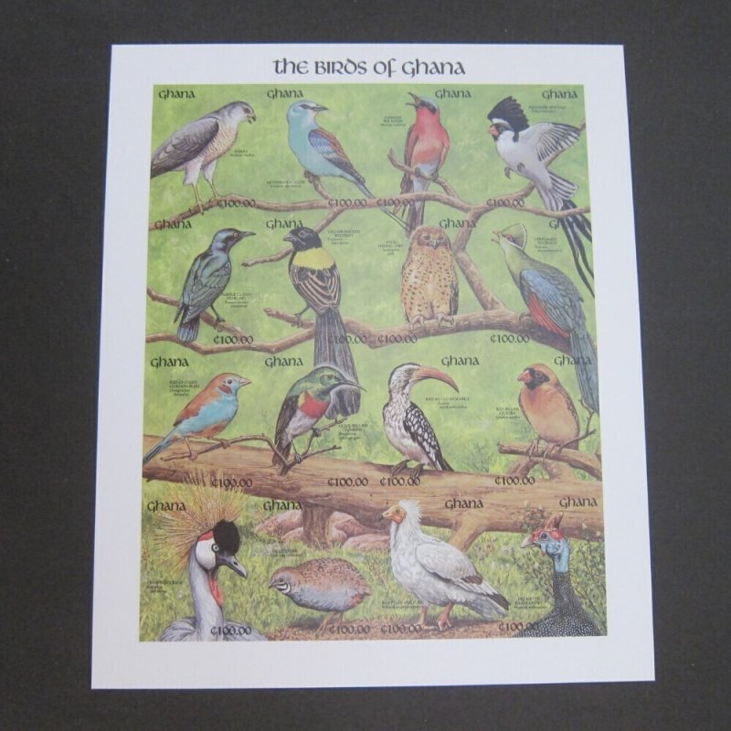 Ghana 1991 Sc 1343-5 Imperf. Bird set MNH