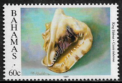 Bahamas #859b MNH Stamp - Seashell