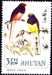 Bird, Ward's Trogon, Bhutan stamp SC#99A MNH