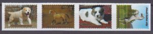 2020 Turkmenistan 503-506 Dogs and Horses