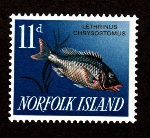 Norfolk Island # 54 Mint NH!