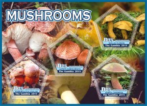 Stamps. Mushrooms 2018 1+1 sheets perforated MNH **