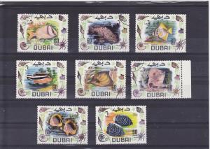 Dubai  Scott#  101-8  CTO