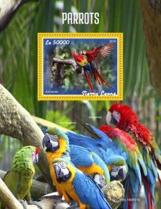 SIERRA LEONE - 2019 - Parrots - Perf Souv Sheet - Mint Never Hinged