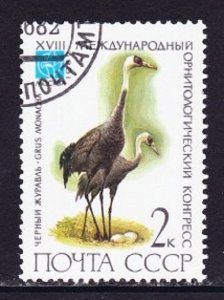 Russia 5050 Rare Birds Used Single