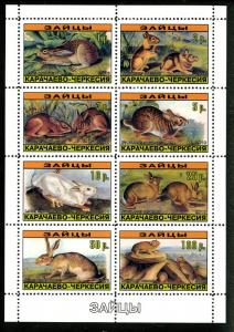 RUSSIA LOCAL SHEET WILDLIFE RABBITS