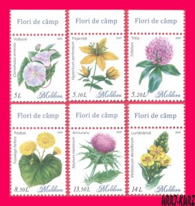 MOLDOVA 2024 Flora Plants Wild Flowers 6v MNH